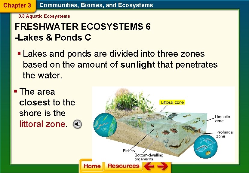 Chapter 3 Communities, Biomes, and Ecosystems 3. 3 Aquatic Ecosystems FRESHWATER ECOSYSTEMS 6 -Lakes