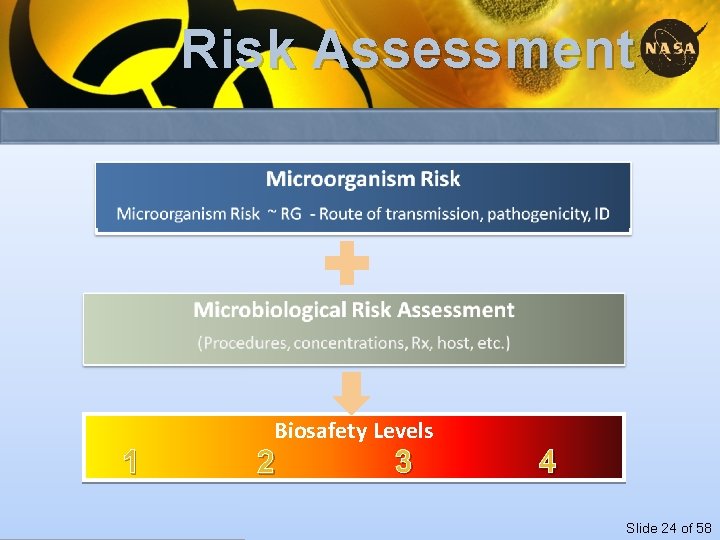 Risk Assessment 1 Biosafety Levels 2 3 4 Slide 24 of 58 