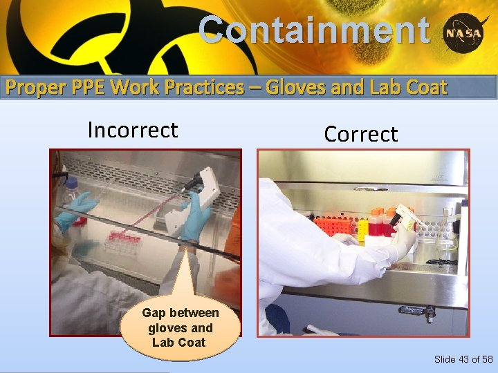 Containment Proper PPE Work Practices – Gloves and Lab Coat Incorrect Correct Gap between