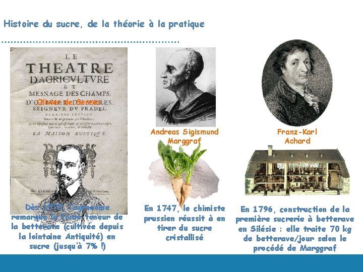 Histoire du sucre, de la théorie à la pratique Olivier de Serres Dès 1575,