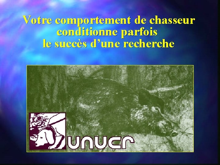 Votre comportement de chasseur conditionne parfois le succès d’une recherche 