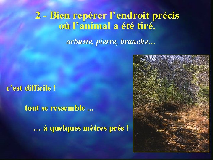 2 - Bien repérer l’endroit précis où l’animal a été tiré. arbuste, pierre, branche…