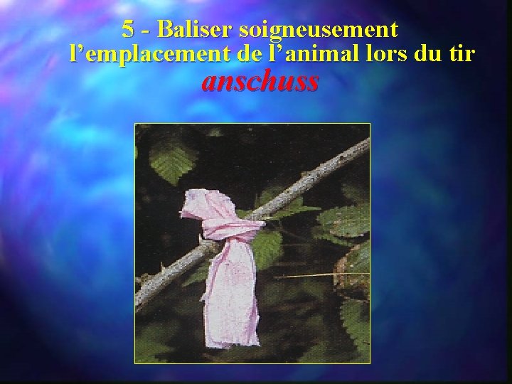 5 - Baliser soigneusement l’emplacement de l’animal lors du tir anschuss 