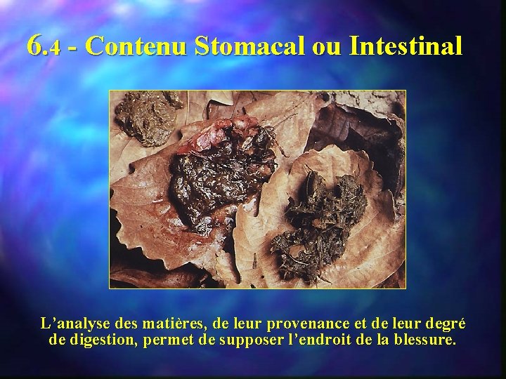 6. 4 - Contenu Stomacal ou Intestinal L’analyse des matières, de leur provenance et