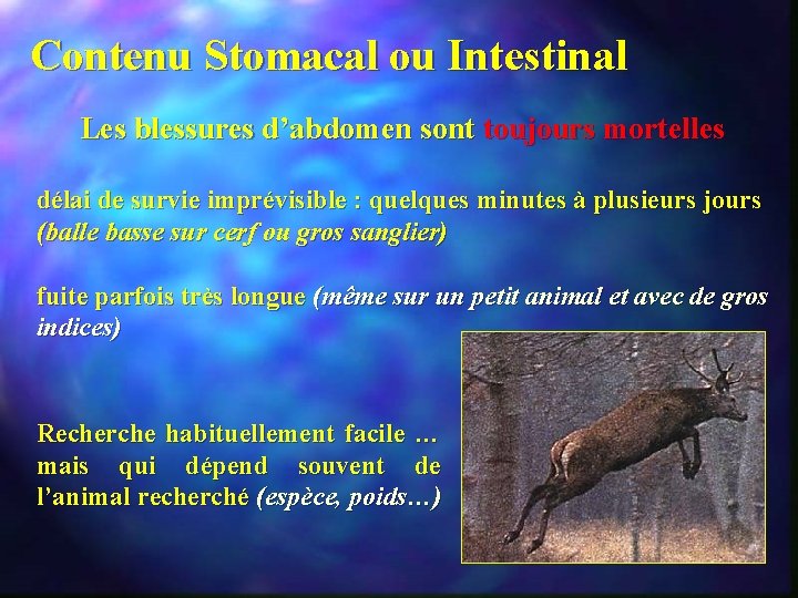 Contenu Stomacal ou Intestinal Les blessures d’abdomen sont toujours mortelles délai de survie imprévisible