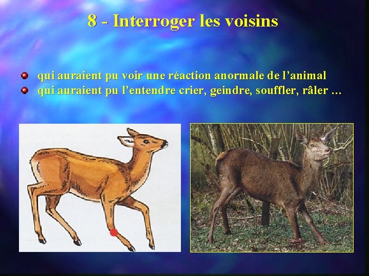 8 - Interroger les voisins qui auraient pu voir une réaction anormale de l’animal