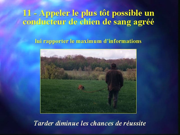 11 - Appeler le plus tôt possible un conducteur de chien de sang agréé