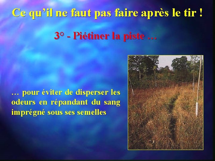 Ce qu’il ne faut pas faire après le tir ! 3° - Piétiner la