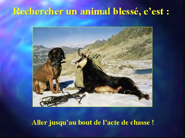 Recher un animal blessé, c’est : Aller jusqu’au bout de l’acte de chasse !