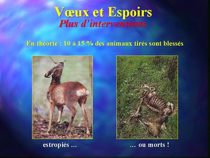 Vœux et Espoirs Plus d’interventions En théorie : 10 à 15 % des animaux