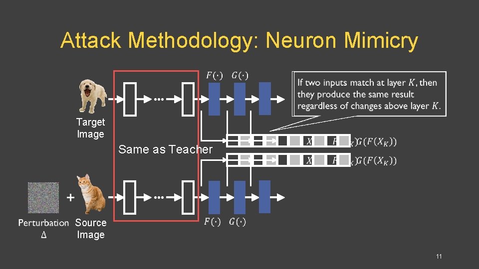 Attack Methodology: Neuron Mimicry Target Image Same as Teacher + Source Image 11 