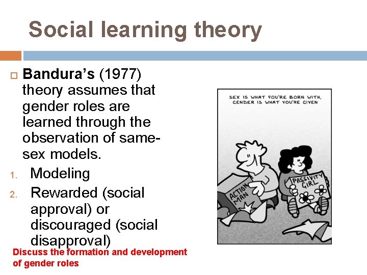 Social learning theory 1. 2. Bandura’s (1977) theory assumes that gender roles are learned