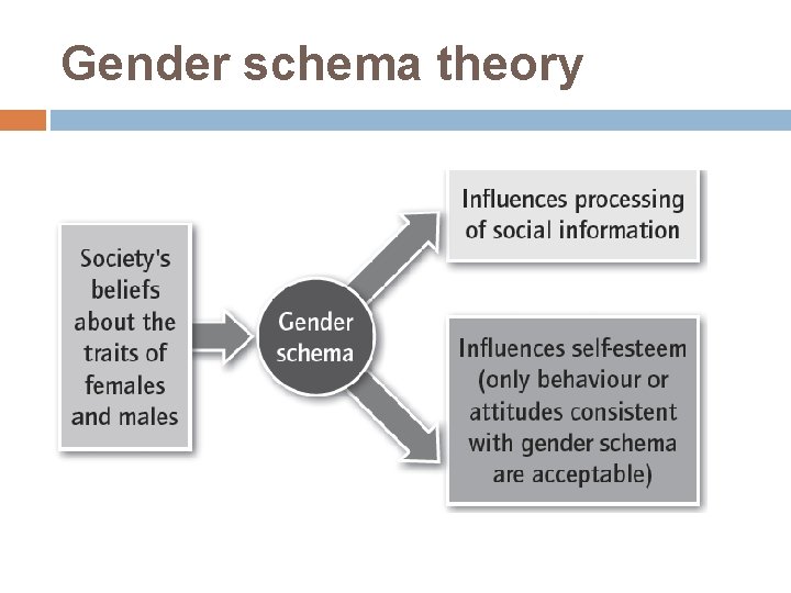 Gender schema theory 