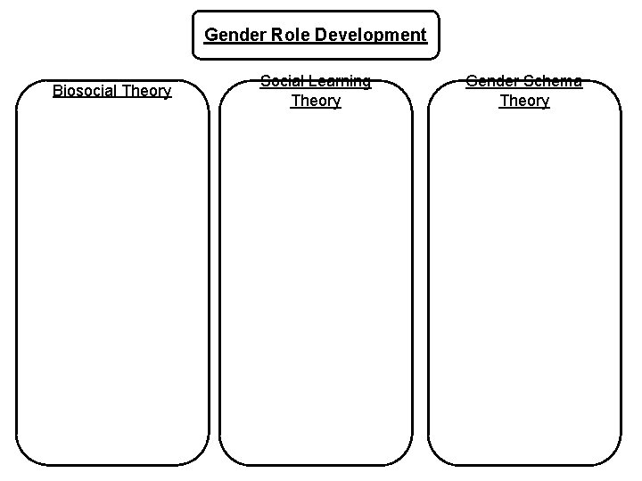 Gender Role Development Biosocial Theory Social Learning Theory Gender Schema Theory 