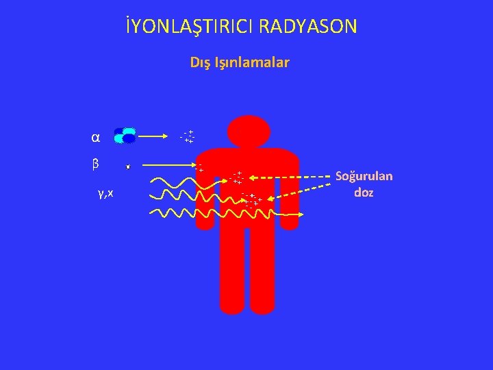 İYONLAŞTIRICI RADYASON Dış Işınlamalar α β γ, x + - -+-+- -+ + -