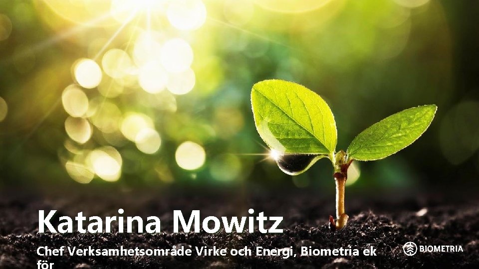 Katarina Mowitz Chef Verksamhetsområde Virke och Energi, Biometria ek 