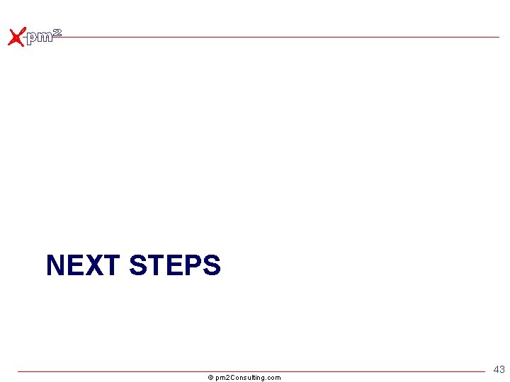 NEXT STEPS © pm 2 Consulting. com 43 NEXT STEPS © pm 2 Consulting. com 43