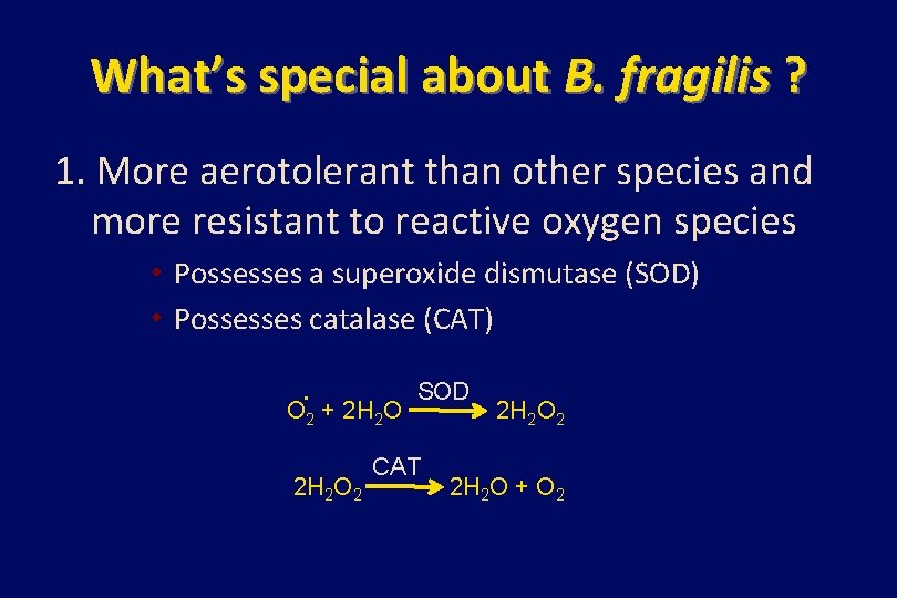What’s special about B. fragilis ? 1. More aerotolerant than other species and more