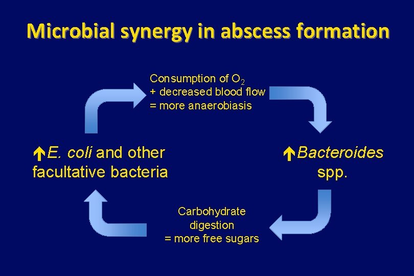 Microbial synergy in abscess formation Consumption of O 2 + decreased blood flow =