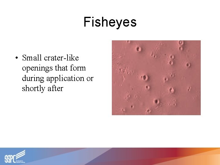 Fisheyes • Small crater-like openings that form during application or shortly after 