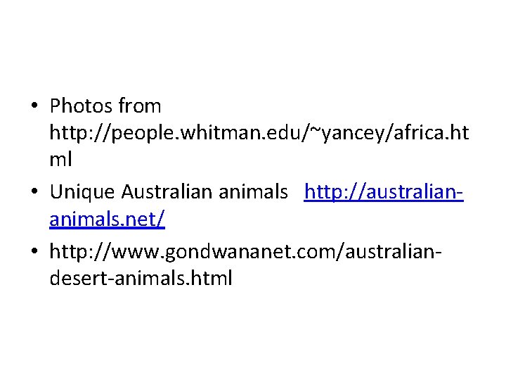 • Photos from http: //people. whitman. edu/~yancey/africa. ht ml • Unique Australian animals • Photos from http: //people. whitman. edu/~yancey/africa. ht ml • Unique Australian animals