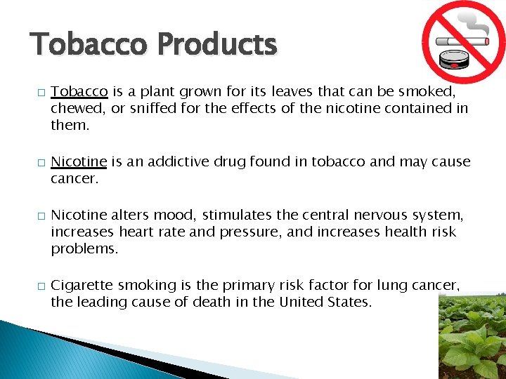 Tobacco Products � � Tobacco is a plant grown for its leaves that can