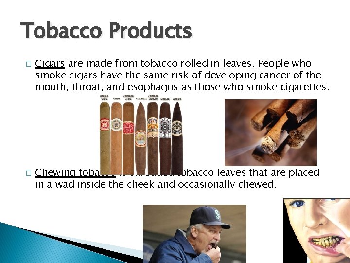 Tobacco Products � � Cigars are made from tobacco rolled in leaves. People who
