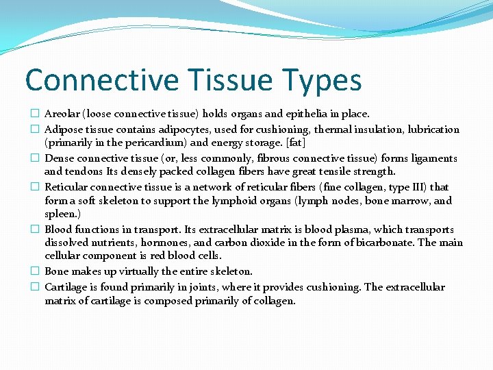 Connective Tissue Types � Areolar (loose connective tissue) holds organs and epithelia in place. Connective Tissue Types � Areolar (loose connective tissue) holds organs and epithelia in place.