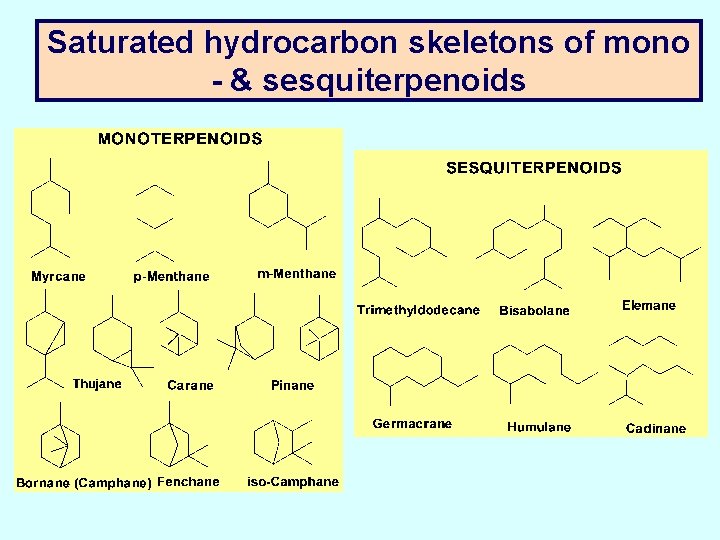 Saturated hydrocarbon skeletons of mono - & sesquiterpenoids 