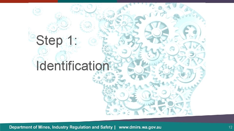 Step 1: Identification 12 