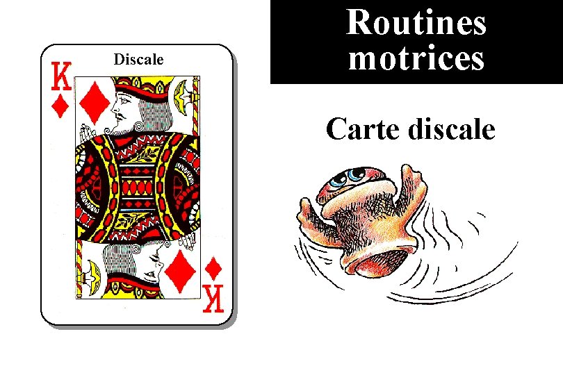 Discale Routines motrices Carte discale 