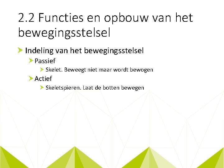 2. 2 Functies en opbouw van het bewegingsstelsel Indeling van het bewegingsstelsel Passief Skelet.