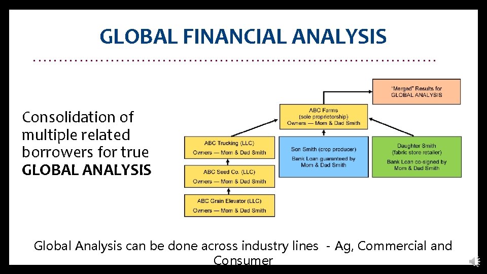 GLOBAL FINANCIAL ANALYSIS. . . . . Consolidation of multiple related borrowers for true