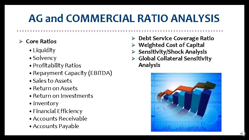 AG and COMMERCIAL RATIO ANALYSIS. . . . . Ø Debt Service Coverage Ratio