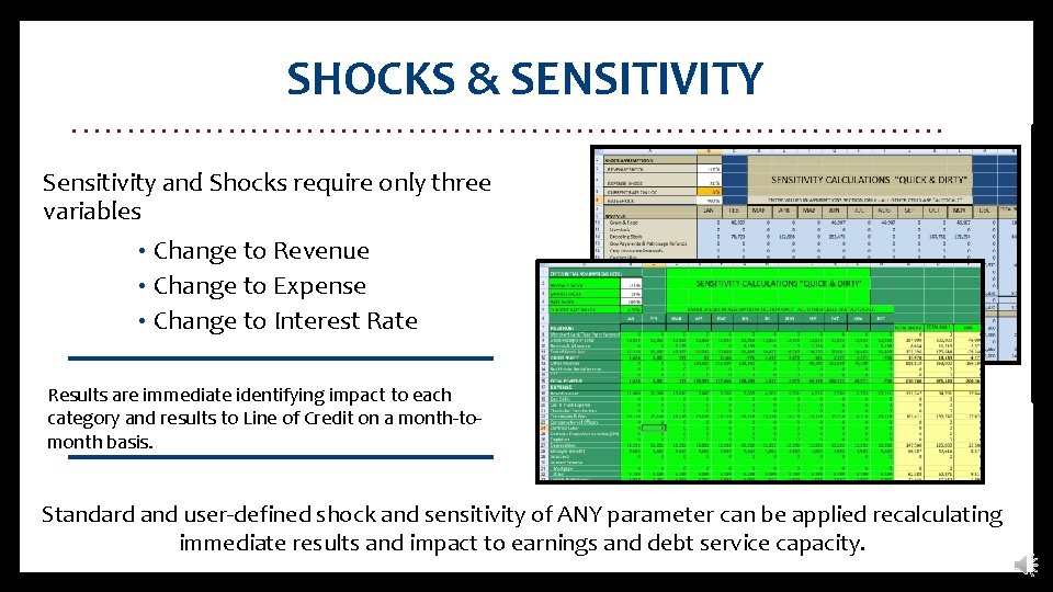 SHOCKS & SENSITIVITY. . . . . Sensitivity and Shocks require only three variables