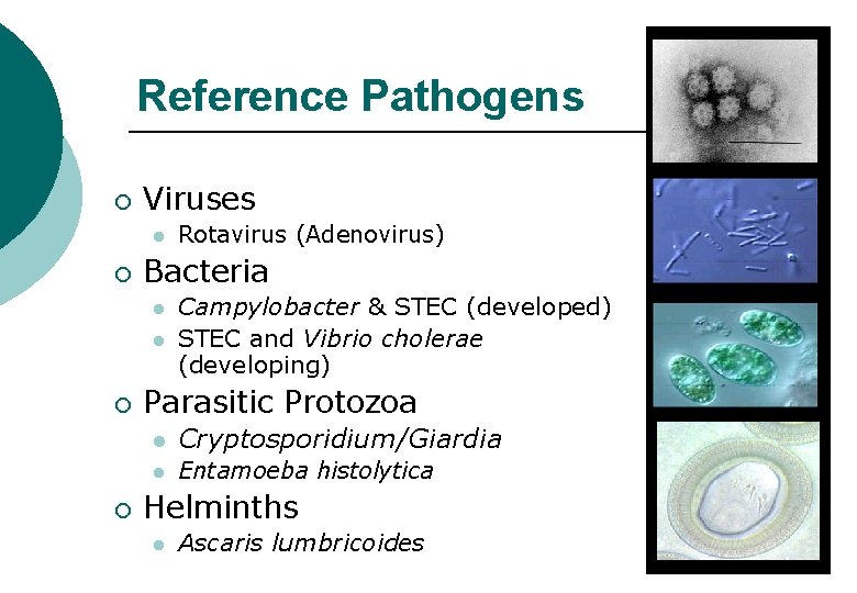 Risk assessment and health based targets for microbial