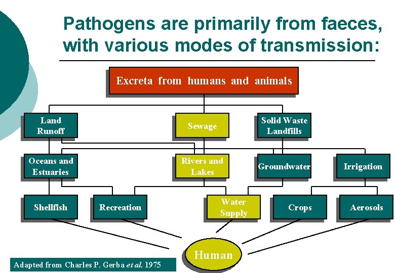 Risk assessment and health based targets for microbial