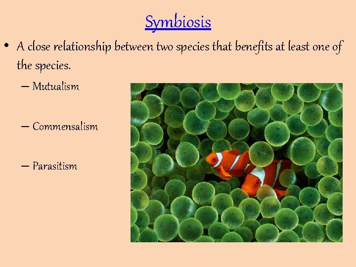Symbiosis • A close relationship between two species that benefits at least one of Symbiosis • A close relationship between two species that benefits at least one of