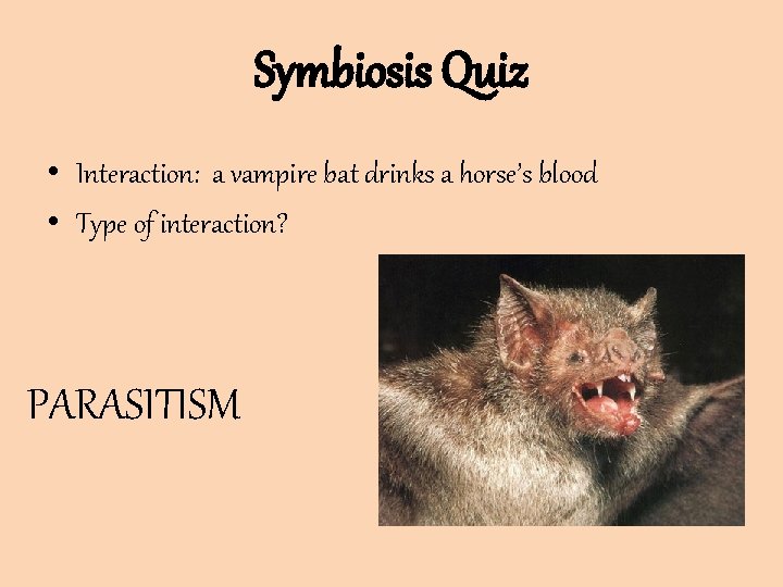 Symbiosis Quiz • Interaction: a vampire bat drinks a horse’s blood • Type of Symbiosis Quiz • Interaction: a vampire bat drinks a horse’s blood • Type of