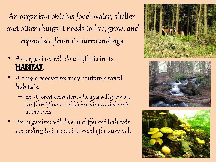 An organism obtains food, water, shelter, and other things it needs to live, grow, An organism obtains food, water, shelter, and other things it needs to live, grow,
