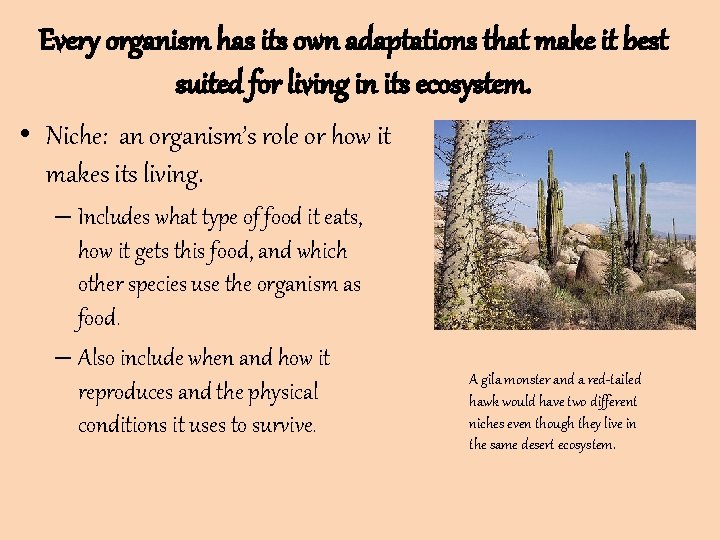 Every organism has its own adaptations that make it best suited for living in Every organism has its own adaptations that make it best suited for living in