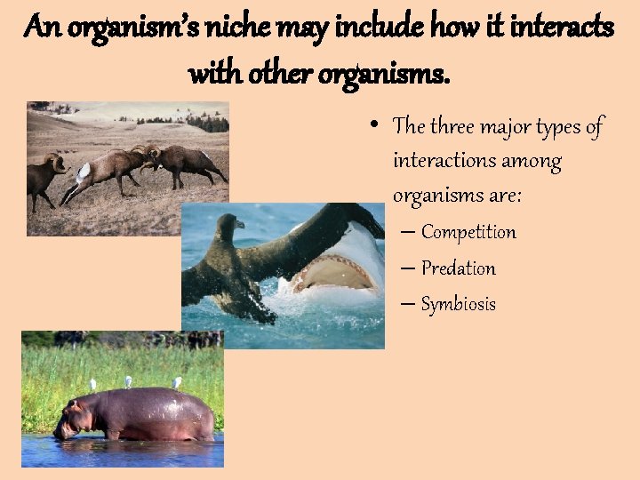 An organism’s niche may include how it interacts with other organisms. • The three An organism’s niche may include how it interacts with other organisms. • The three