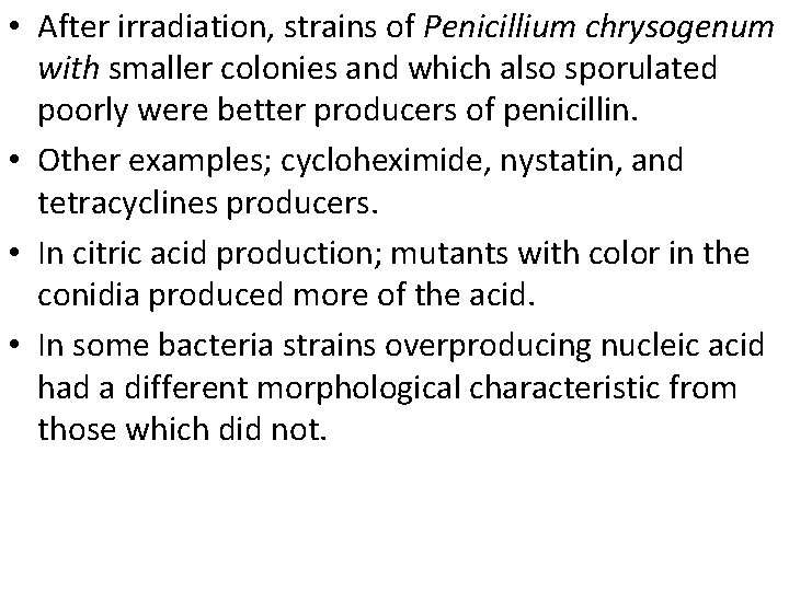  • After irradiation, strains of Penicillium chrysogenum with smaller colonies and which also