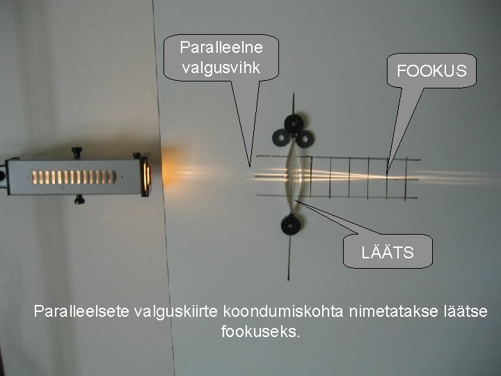 Paralleelne valgusvihk FOOKUS LÄÄTS Paralleelsete valguskiirte koondumiskohta nimetatakse läätse fookuseks. 