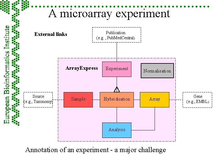 A microarray experiment Publication (e. g. , Pub. Med. Central) External links Array. Express