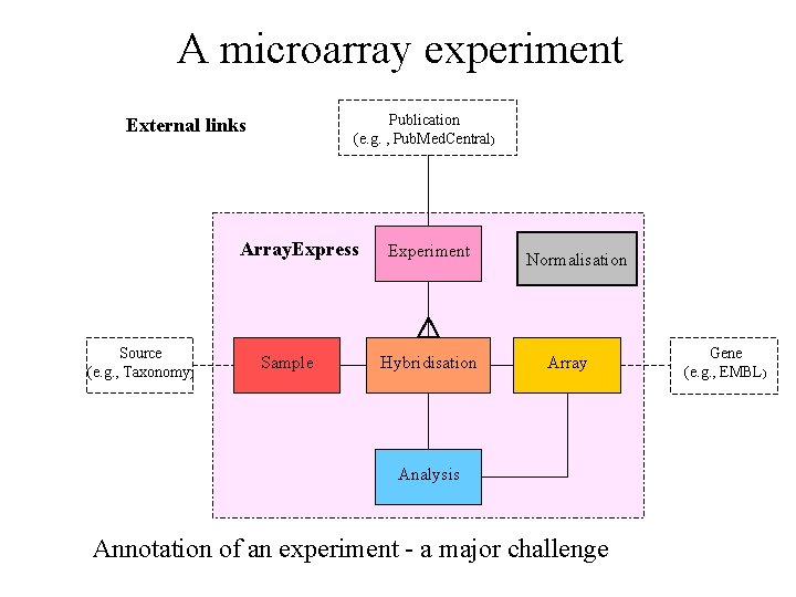 A microarray experiment Publication (e. g. , Pub. Med. Central) External links Array. Express