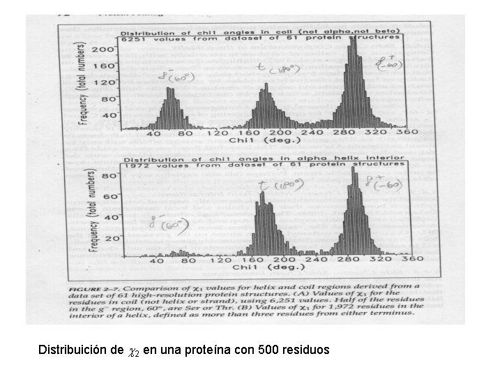 Distribuición de c 2 en una proteína con 500 residuos 