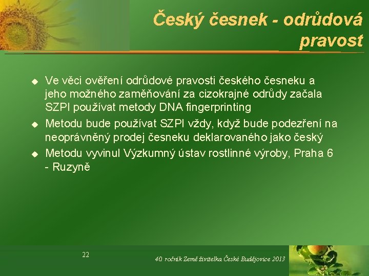 Český česnek - odrůdová pravost u u u Ve věci ověření odrůdové pravosti českého