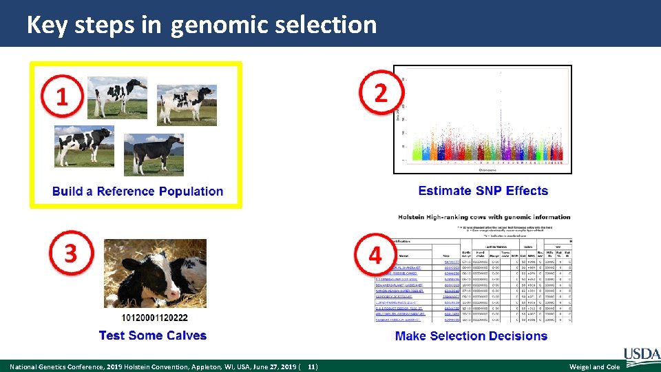Key steps in genomic selection National Genetics Conference, 2019 Holstein Convention, Appleton, WI, USA,