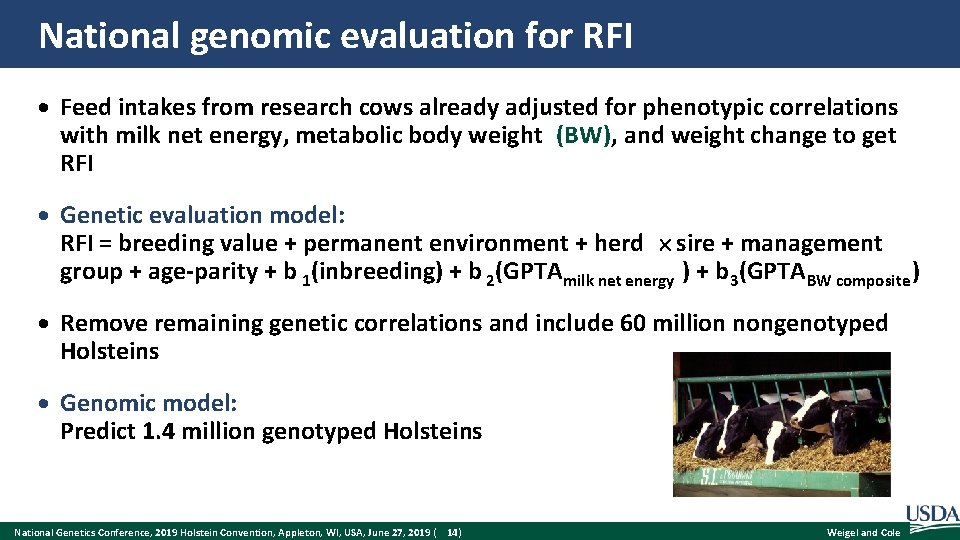 National genomic evaluation for RFI Feed intakes from research cows already adjusted for phenotypic